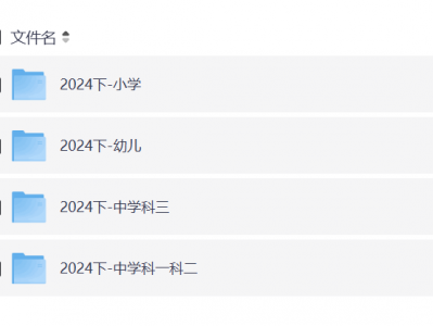 小红书花了1680买来的2024下fb教资网课（涵盖幼儿、小学、中学）