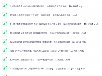 车载音乐 DJ串烧劲爆歌曲三百首