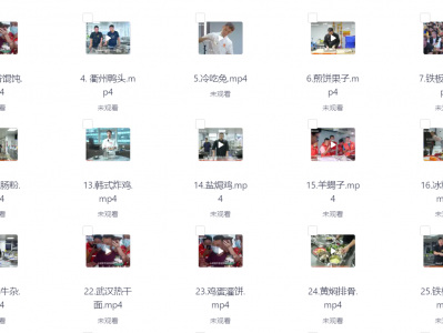 99套小吃配方+创业落地指南总共80G（价值3999）